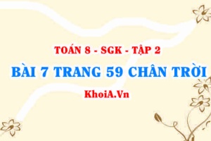 Bài 7 trang 59 Toán 8 Chân trời sáng tạo Tập 2
